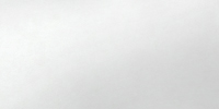 pap-07.jpg