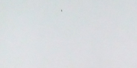 pap-05.jpg