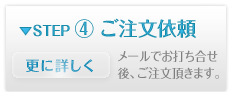 step4.jpg